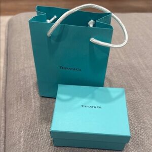 Tiffany & Co. Blue Gift Bag and Box Set